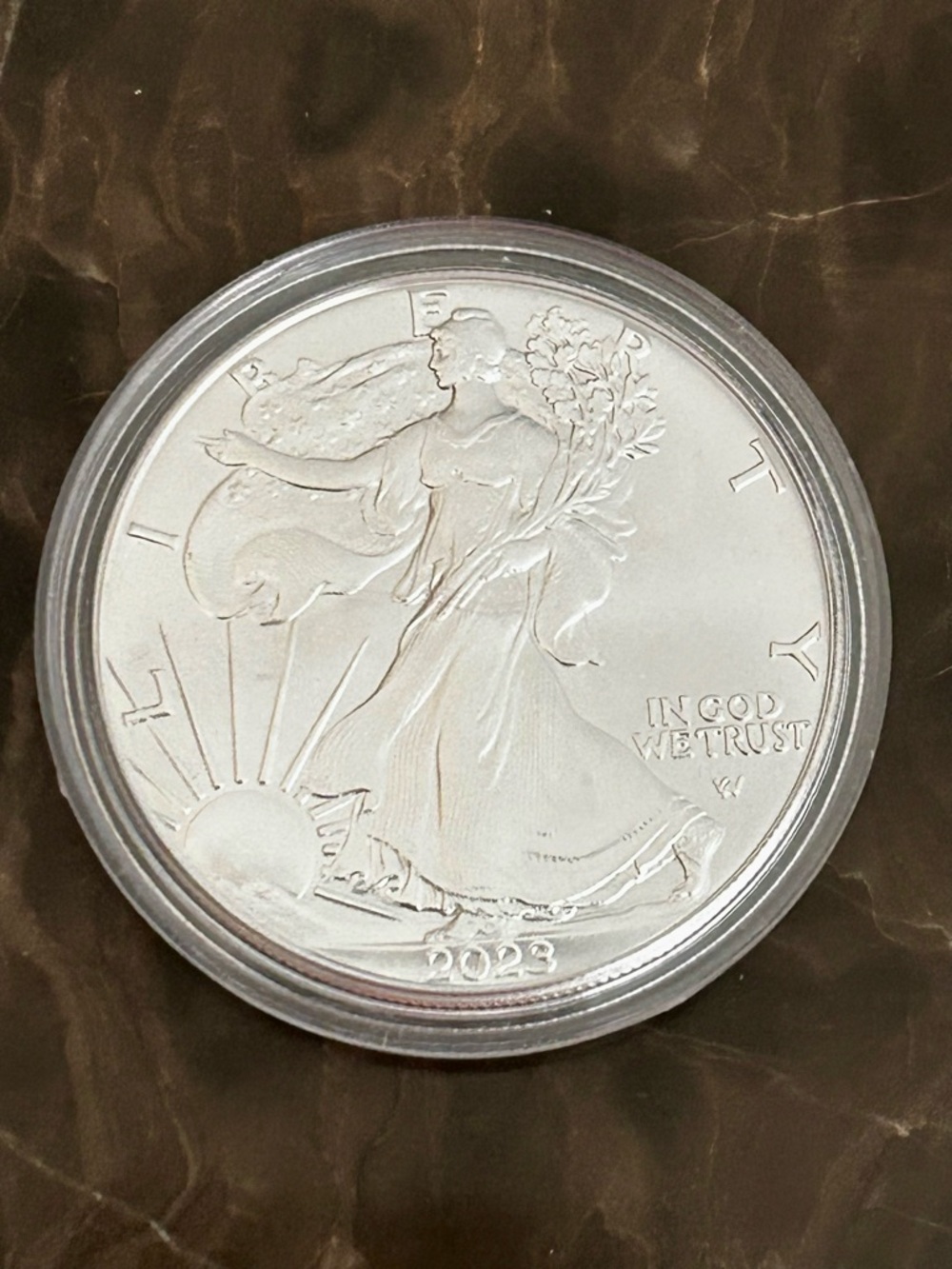 American Silver Eagle Coin